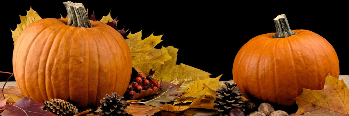  This is a close-up, horizontal image of a tabletop autumn display against a solid black background.